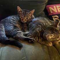 Thumbnail photo of Sicily  #3