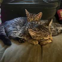 Thumbnail photo of Sicily  #4