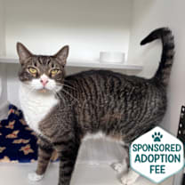 Thumbnail photo of Beck #1