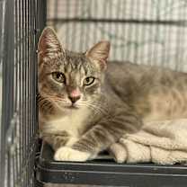 Thumbnail photo of Sunshine Simpson #2