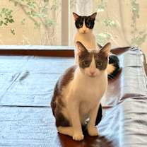 Thumbnail photo of Quinton #2