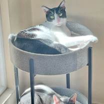 Thumbnail photo of Quinton #3