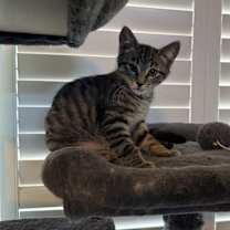 Thumbnail photo of Mikey #1