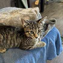 Thumbnail photo of Mikey #3