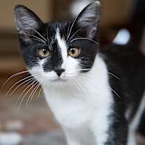 Thumbnail photo of Milk (& Sumo!) #3