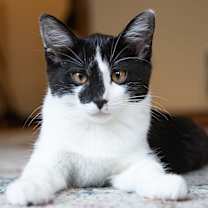 Thumbnail photo of Milk (& Sumo!) #4