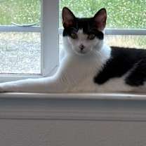 Thumbnail photo of Mira #2