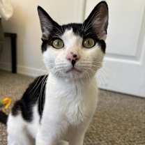 Thumbnail photo of Mira #4