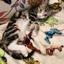 Thumbnail photo of Doc #1