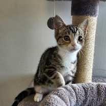 Thumbnail photo of Doc #2