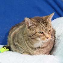 Thumbnail photo of Rachelle #3