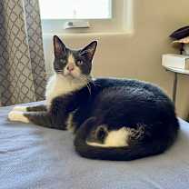 Thumbnail photo of Coral #2