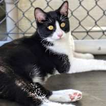 Thumbnail photo of Ignatius #2