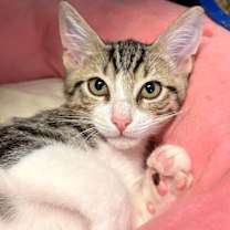 Thumbnail photo of Jeffrey #3