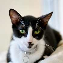 Thumbnail photo of Yasmin #2