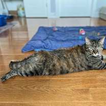 Thumbnail photo of Catrin #1