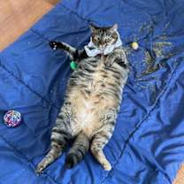 Thumbnail photo of Catrin #2