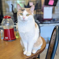 Thumbnail photo of Baby Doll #3