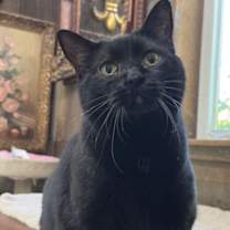 Thumbnail photo of Helen #1