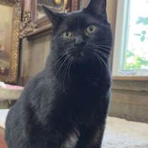 Thumbnail photo of Helen #2