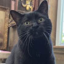 Thumbnail photo of Helen #3