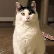 Thumbnail photo of Dottie D #1