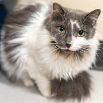 Thumbnail photo of Demi #1