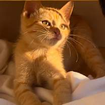 Thumbnail photo of MATEO #2