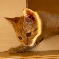 Thumbnail photo of MATEO #4