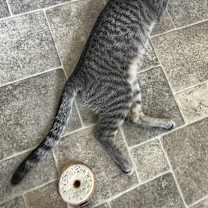 Thumbnail photo of Olivia #1