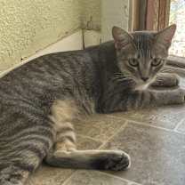 Thumbnail photo of Olivia #2