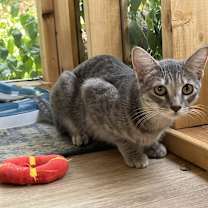 Thumbnail photo of Olivia #3