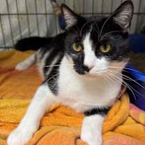 Thumbnail photo of Nona #2