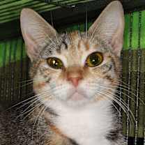 Thumbnail photo of Nicole #1