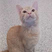 Thumbnail photo of Alex #1