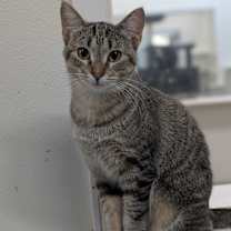 Thumbnail photo of Zuzu #2