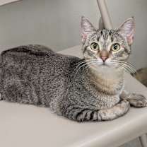 Thumbnail photo of Zuzu #3