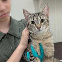 Thumbnail photo of Zuzu #4