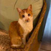 Thumbnail photo of Peter #1