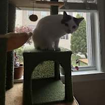 Thumbnail photo of Moscato #1