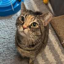 Thumbnail photo of Willow #1