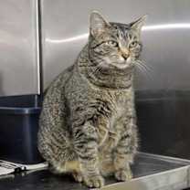 Thumbnail photo of Squirt #1