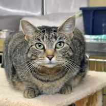 Thumbnail photo of Squirt #2