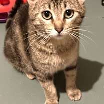 Thumbnail photo of Bobbi Sue #2