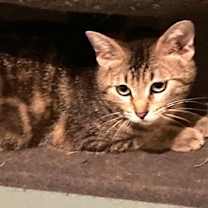 Thumbnail photo of Bobbi Sue #3