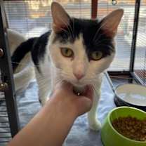 Thumbnail photo of Twist #3