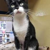 Thumbnail photo of China #1