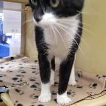 Thumbnail photo of China #4