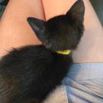 Thumbnail photo of Zee #2