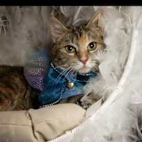 Thumbnail photo of Sunny #3